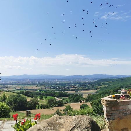 Al Podere Del Nonno Romolo 산세폴크로 외부 사진