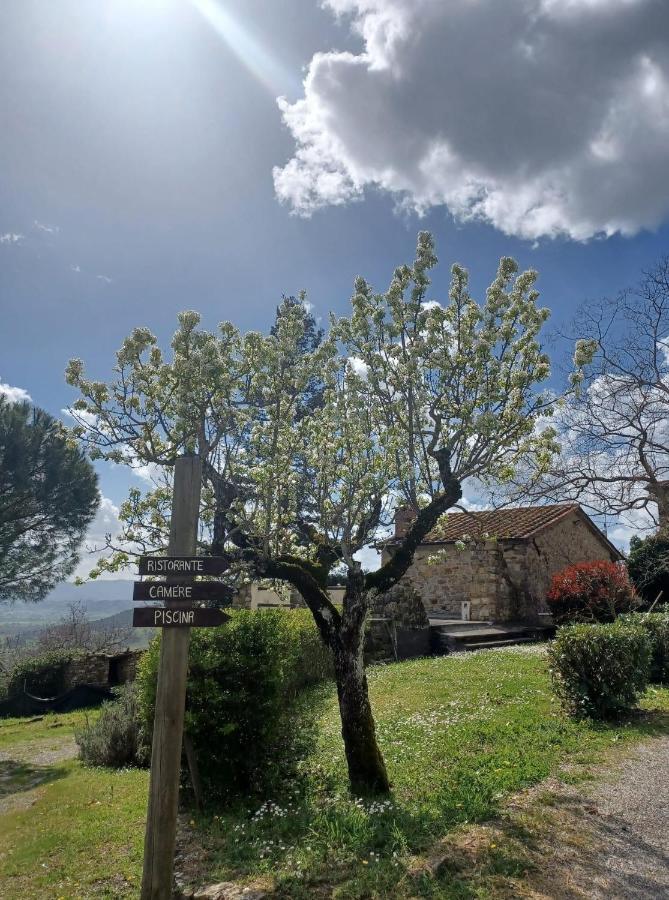 Al Podere Del Nonno Romolo 산세폴크로 외부 사진